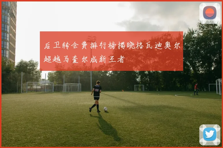 后卫转会费排行榜揭晓格瓦迪奥尔超越马奎尔成新王者